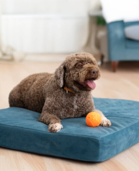 Loolka Anti-Pressure Кревет за Миленици