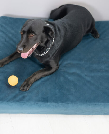 Loolka Orthoair Кревет за Миленици